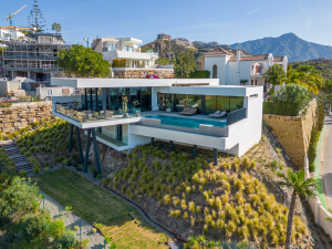 Modern Oasis Villa